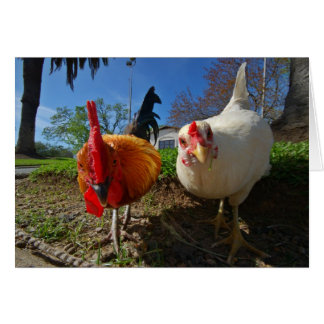 hen and rooster cards