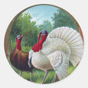 Hen and Tom Turkey Vintage Thanksgiving Classic Round Sticker