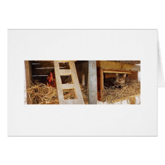 Hen & Cat Nesting Cards