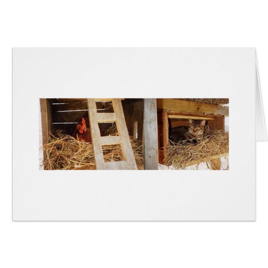 Hen & Cat Nesting Cards (Front Horizontal)