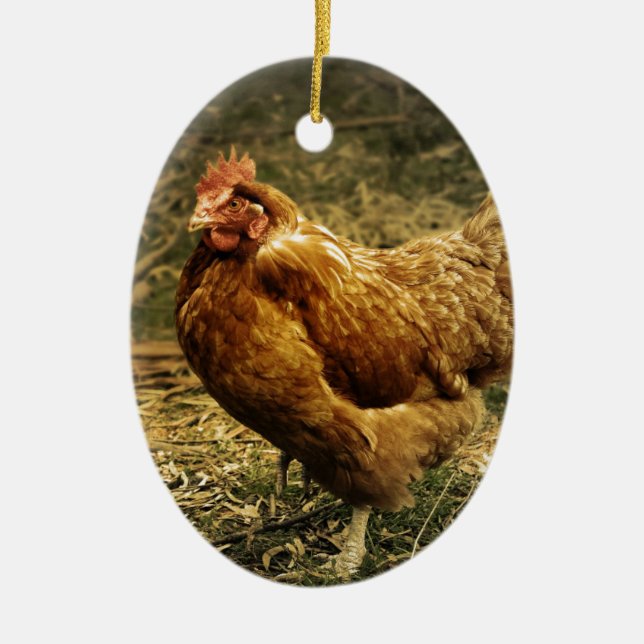 Hen Chicken Bird Farm Farmyard Animal Poultry Ceramic Ornament (Front)