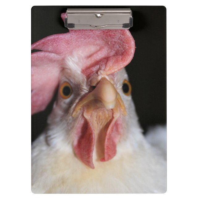 Hen Clipboard (Front)