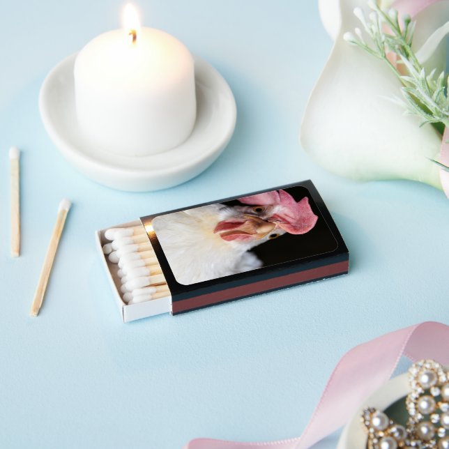 Hen Matchboxes (Insitu)