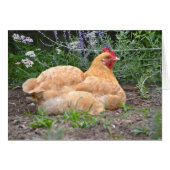 Hen Notecard (Front Horizontal)