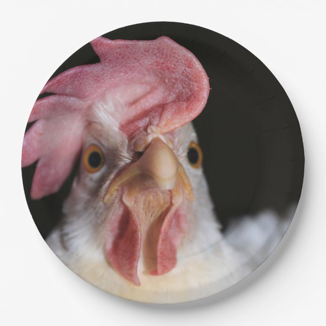 Hen Paper Plates (Front)