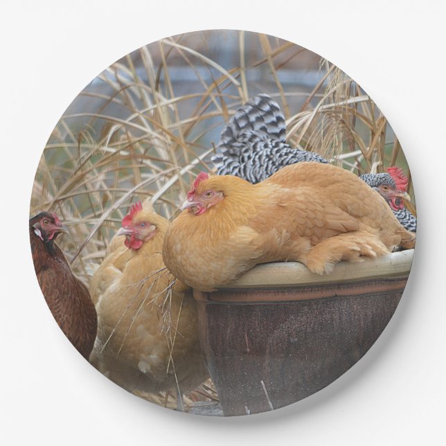 Hen Party Paper Plate (Front)