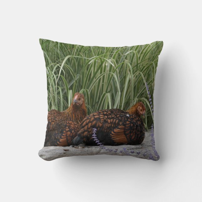 Hen Pillow (Front)