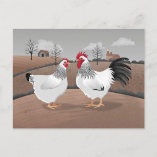 Hen & Rooster Postcard