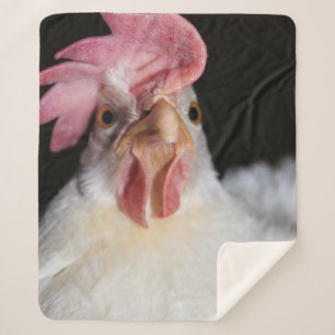 Hen Sherpa Blanket