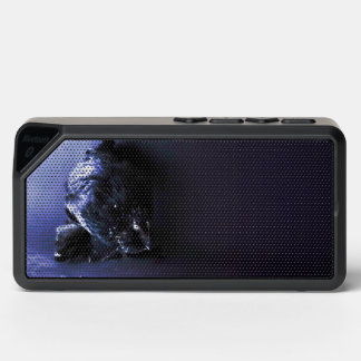 Hen speaker