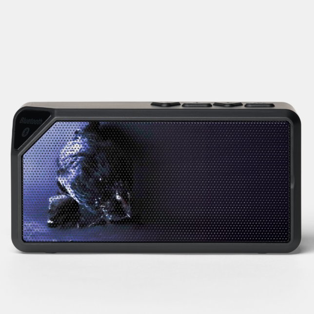Hen speaker (Front)
