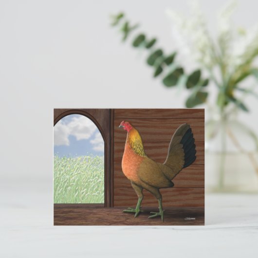 Henhouse View (Standing Front)