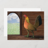 Henhouse View (Front/Back)