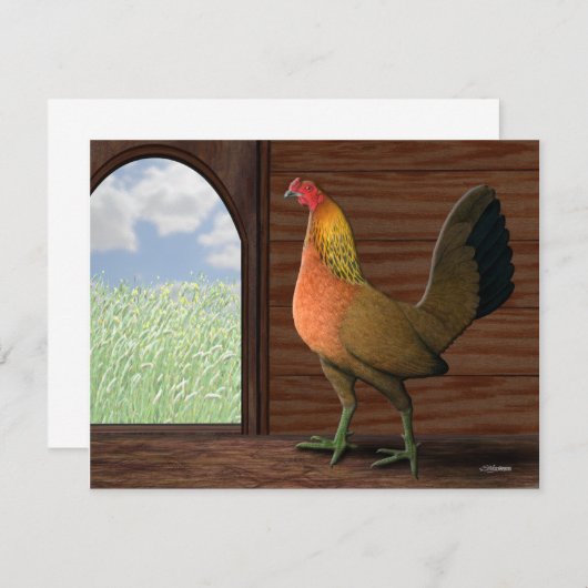 Henhouse View (Front/Back)