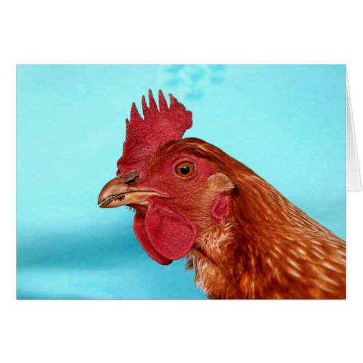 Henny Penny Cards (Front Horizontal)