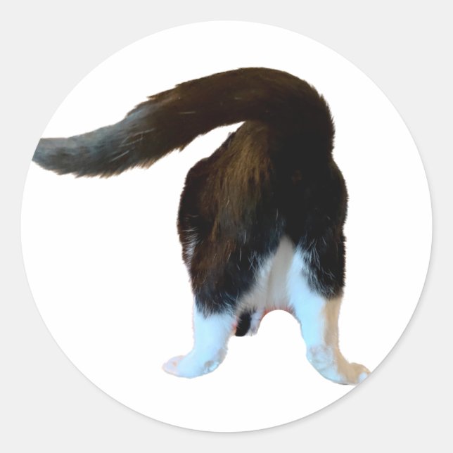 Henri Butt Sticker (Front)