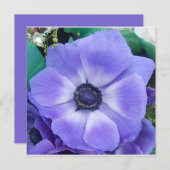 Henrietta (Front/Back)