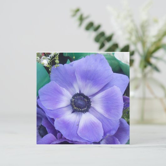 Henrietta (Standing Front)