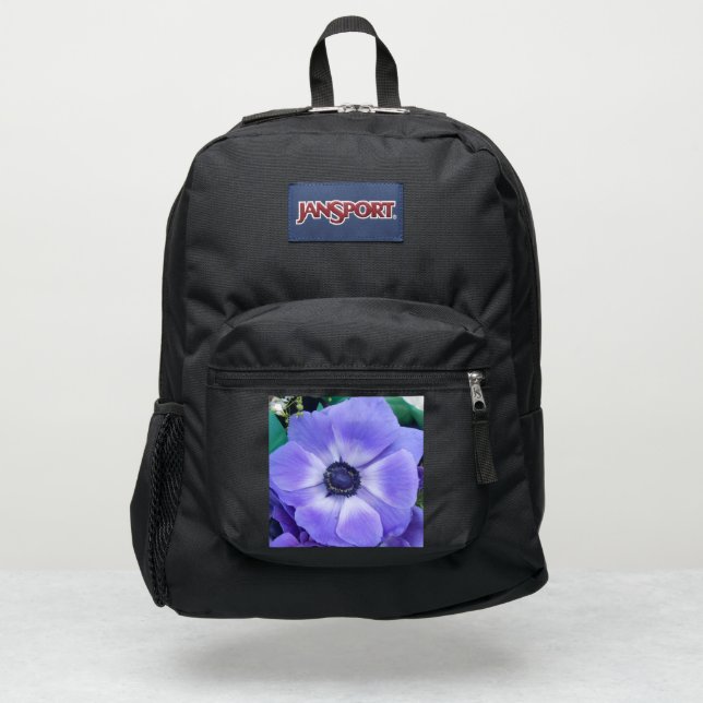 Henrietta JanSport Backpack (Front)