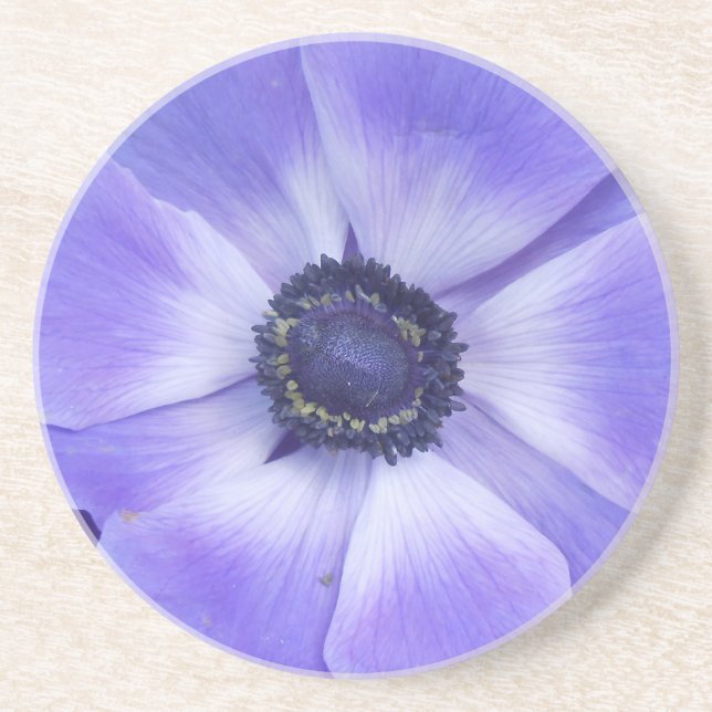 Henrietta Sandstone Coaster (Front)