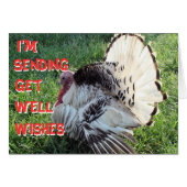 Henry8833-customize any occasion (Front Horizontal)