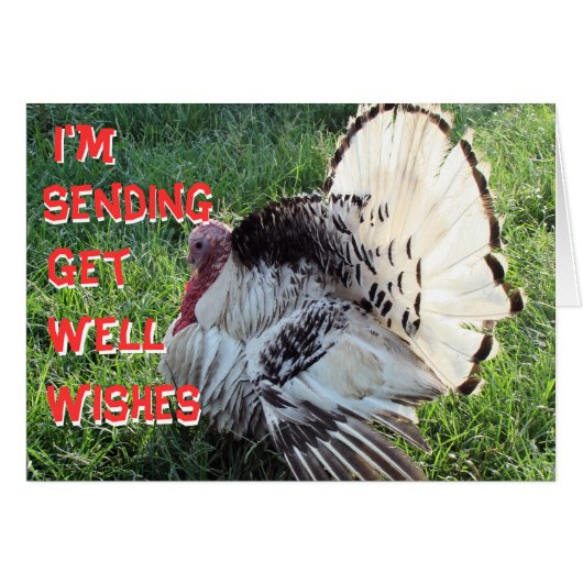 Henry8833-customize any occasion cards (Front Horizontal)