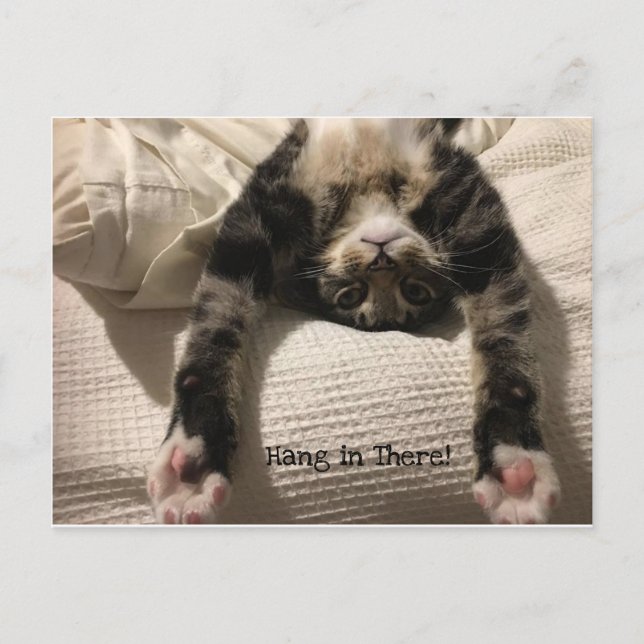 Henry Cat Get Well Soon Encouragement or Sympathy Postcard (Front)