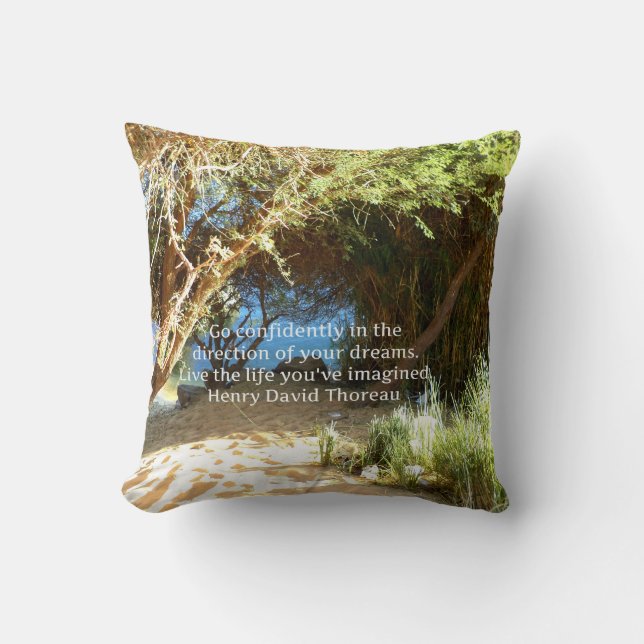 Henry David Thoreau Motivational Dream Quotation Throw Pillow (Front)