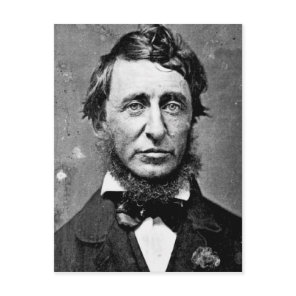 Henry David Thoreau Postcard
