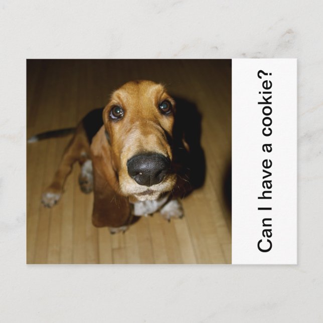 Henry Longfellow Postcard (Front)