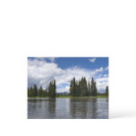 Henrys Fork in Targhee National Forest I Postcard