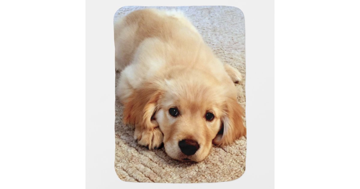 Henry S World Today Golden Retriever Baby Blanket Zazzle Com