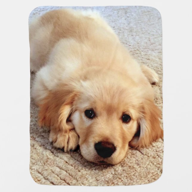 Henry's_World_Today Golden Retriever Baby Blanket (Front)