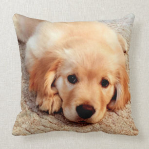 Henry's World Today Golden Retriever Pillow