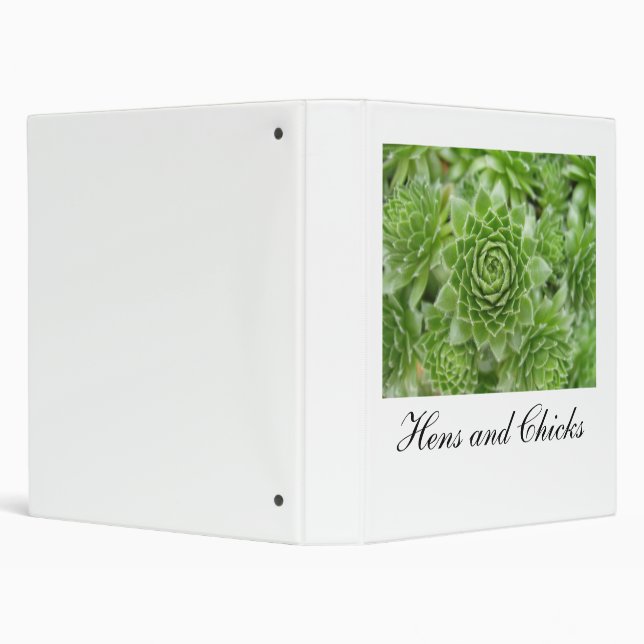 Hens and Chicks Binder (Background)