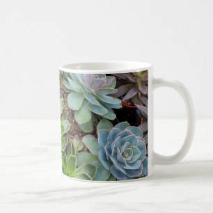 Hens and chicks plants coffee mug