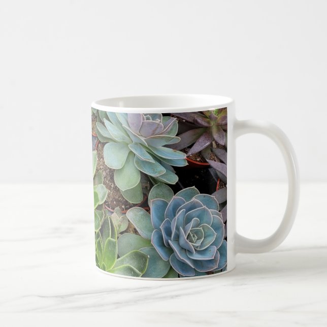 Hens and chicks plants  coffee mug (Right)