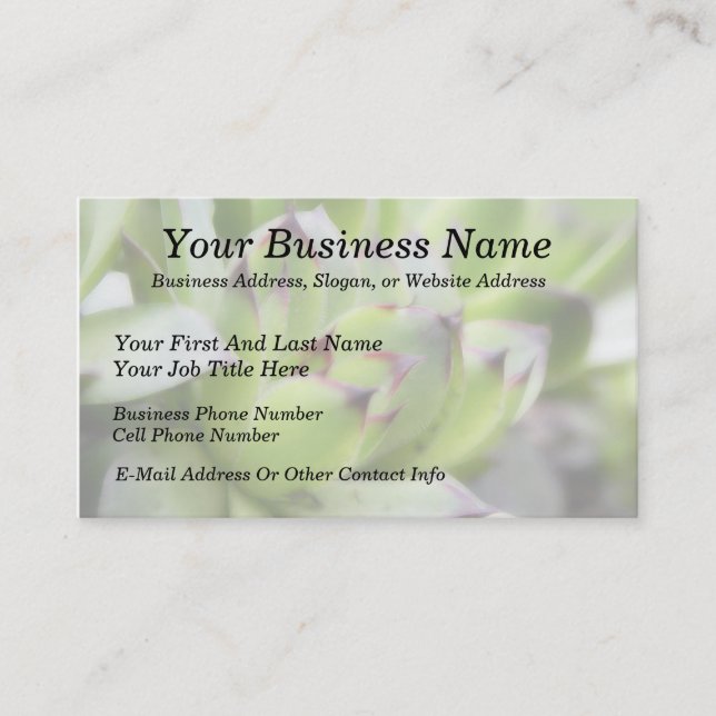 Hens And Chicks - Sempervivum Business Card (Front)
