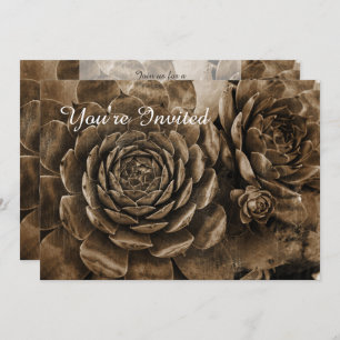 Hens and Chicks Succulent Baby Shower Invitation