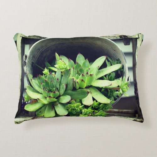 Hens And Chicks Succulents In A Bucket   Accent Pillow