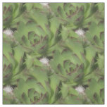 Hens And Chicks Succulents Nature Pattern Fabric