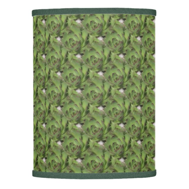 Hens And Chicks Succulents Nature Pattern     Lamp Shade (Front)