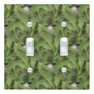 Hens And Chicks Succulents Nature Pattern Light Switch Cover