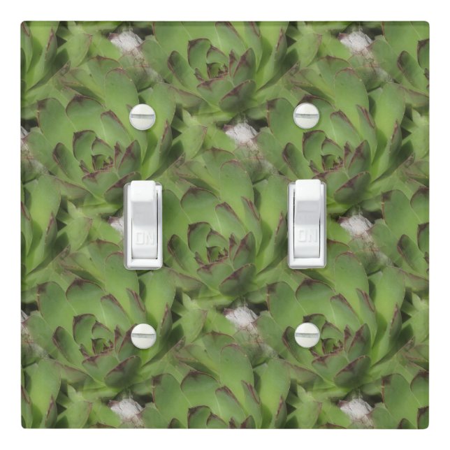 Hens And Chicks Succulents Nature Pattern  Light Switch Cover (In Situ)