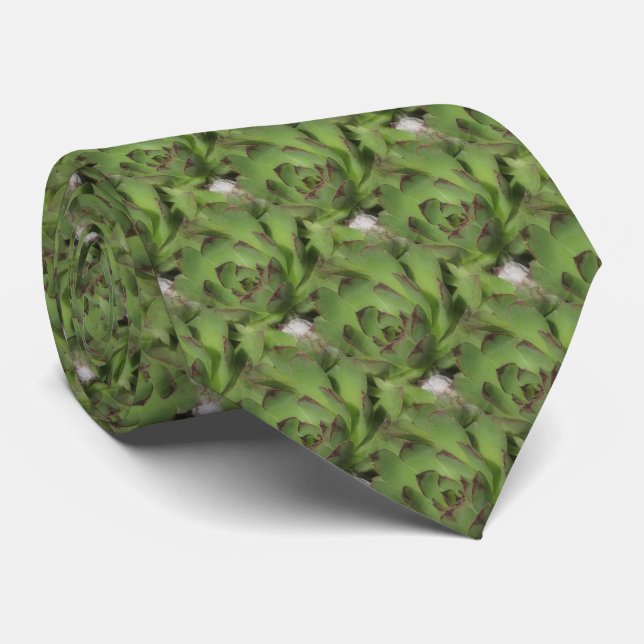 Hens And Chicks Succulents Nature Pattern     Neck Tie (Rolled)