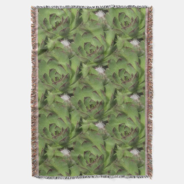 Hens And Chicks Succulents Nature Pattern Throw Blanket (Front Vertical)