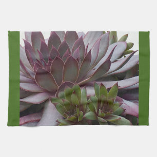Hens and Chicks Towel
