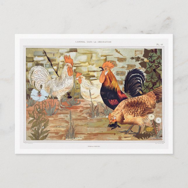 Hens and Roosters Illustration by Verneuil Vintage Postcard (Front)