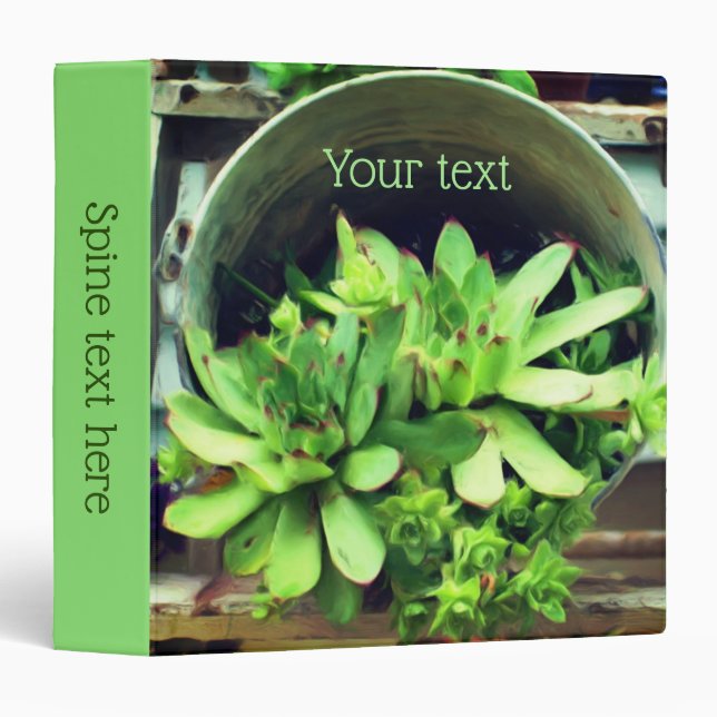 Hens Chicks Succulents Photo Painting Personalized 3 Ring Binder (Front/Spine)