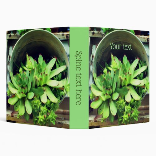 Hens Chicks Succulents Photo Painting Personalized 3 Ring Binder